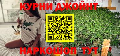 сатива Коммунар