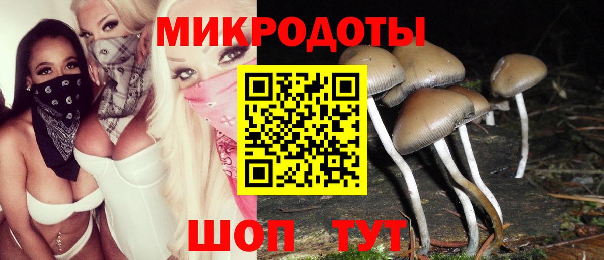 Десногорск  Галлюциногенные грибы Magic Shrooms  Галлюциногенные грибы Psilocybine cubensis  Вход с VPN 