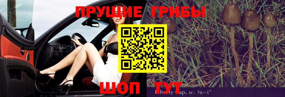 Галлюциногенные грибы прущие грибы Десногорск